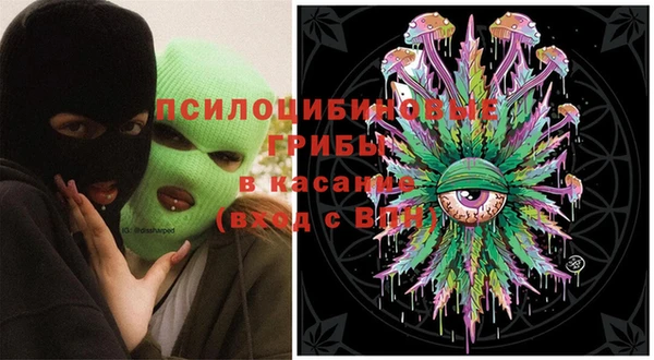 твердый Козловка