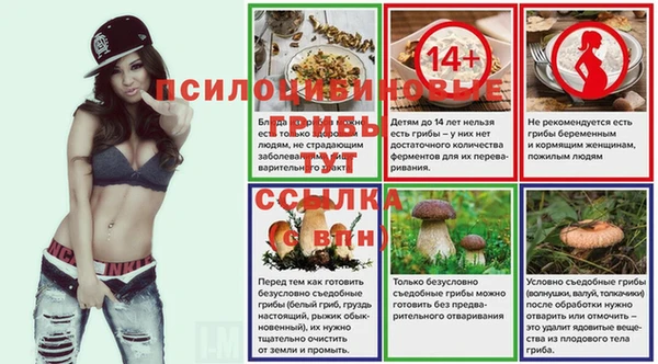 твердый Козловка